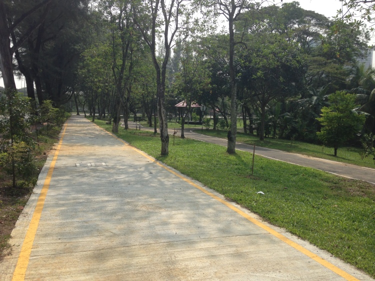 The bake path is smooth, even surface and wide enough for bike traffic from both direction